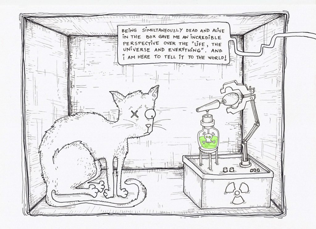 A cartoon of Schrodinger's cat in its box